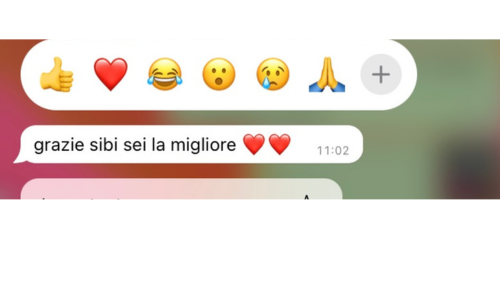 5recensioni